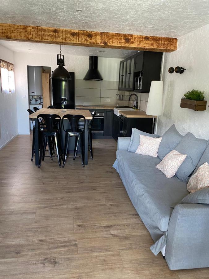 Bas De Chalet Au Pied Des Pistes Cambre D'Aze Сен-Пьер-Дель-Форса Экстерьер фото